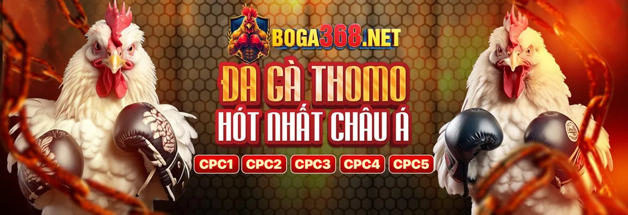 Đá Gà Trực Tuyến 999bet Chính Thức